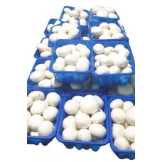 Mushroom Packing Tray (1600 Pcs) with 2 Roll Cling Film 600CC